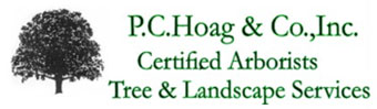 PC Hoag & Company